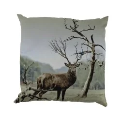 Oferta limitowana PODUSZKA EWA - BYK 2