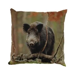 PODUSZKA EWA - ODYNIEC Oferta czasowa