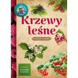 Wyjątkowa oferta MŁODY OBSERWATOR PRZYRODY - KRZEWY LEŚNE
