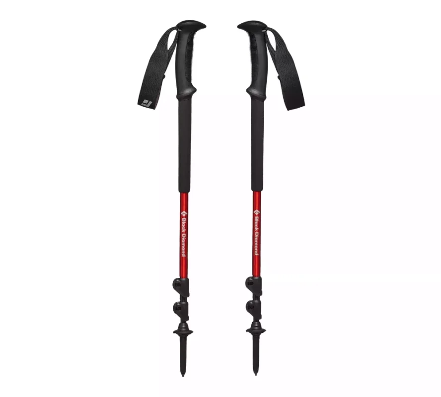 Kije trekkingowe Black Diamond Trail Back - Octane Zamów teraz