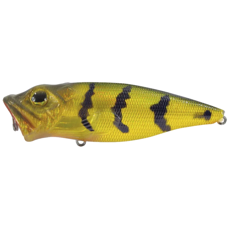 Pop Bass 68F Perch Niska cena