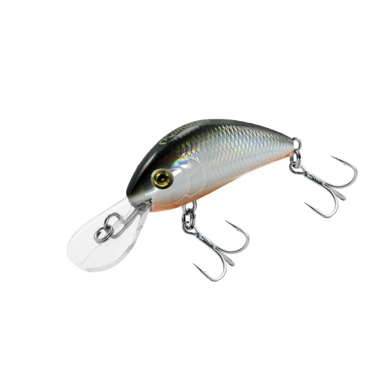 Shaky Shad 40F Red Belly Cena promocyjna
