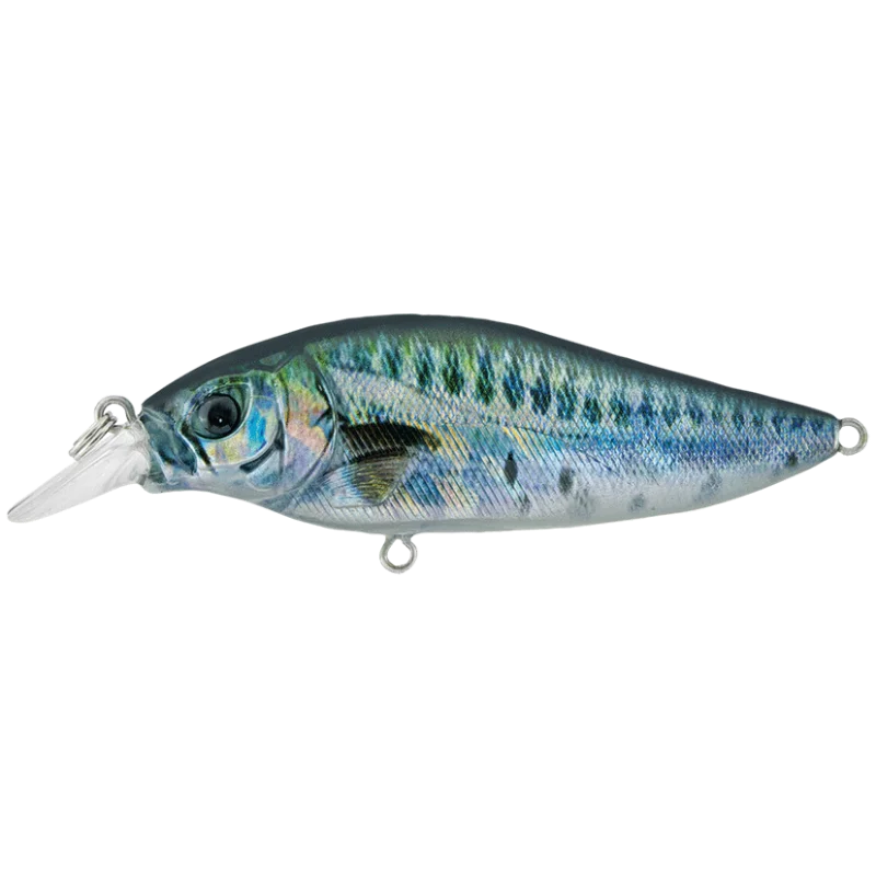 Shallow Shad 80F Baby Mackerel Nowość