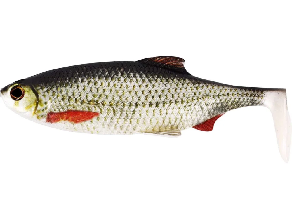 Darmowa dostawa Guma Westin Ricky the Roach Shadtail 14cm 42g Real Roach