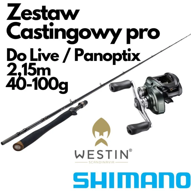 Zestaw Castingowy Na Live / Vertical 4-100g + Shimano Curado Premium