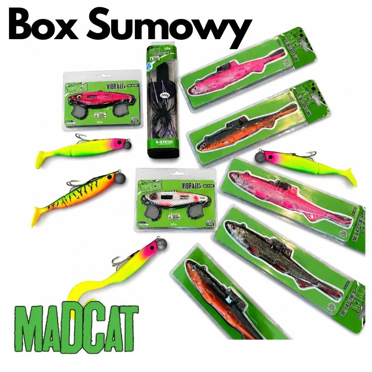 Box Madcat na Suma Sprawdź teraz