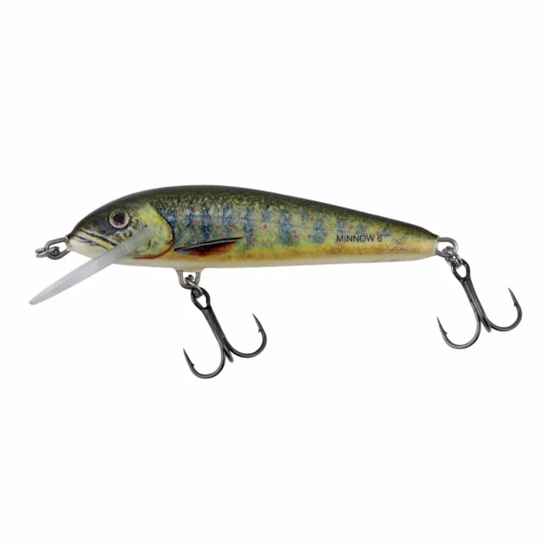 Zamów teraz Salmo Wobler Minnow 5cm Pływający Lake Charr