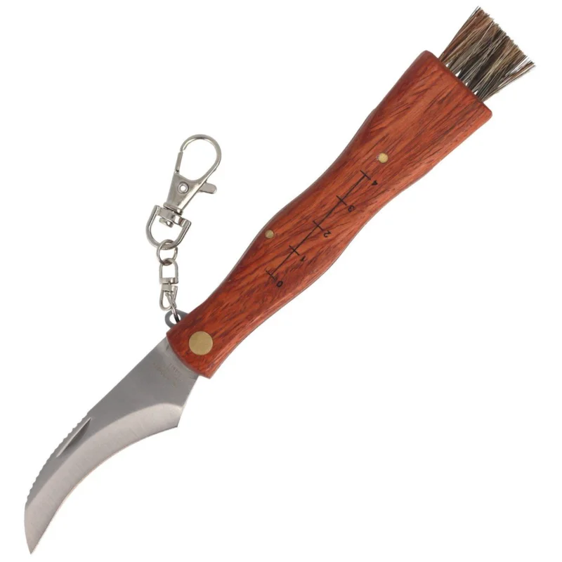 Mushroom knife Herbertz Solingen Folder 75mm (ART000158 - 251411) Do wyczerpania zapasów