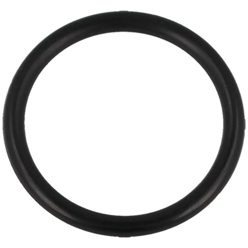 O-Ring 22*2.5 do pompki PCP Hatsan Hand Pump (18) Oferta