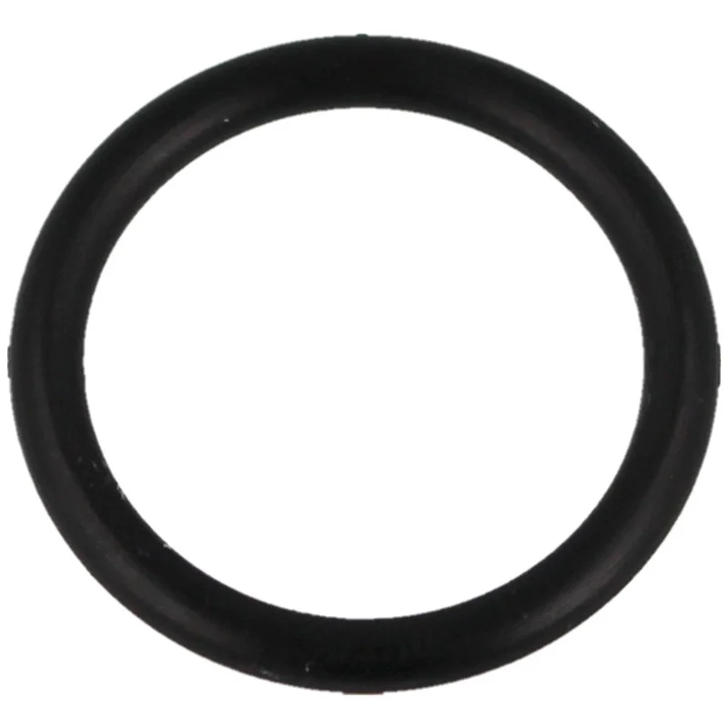 18*2.5 O-Ring for Hatsan Hand Pump (26) Cena promocyjna