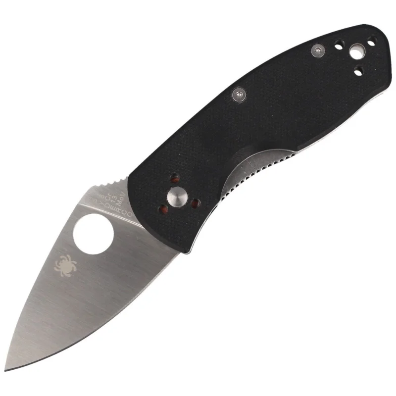 Szybka dostawa Nóż składany Spyderco Ambitious G-10 Black Plain (C148GP)