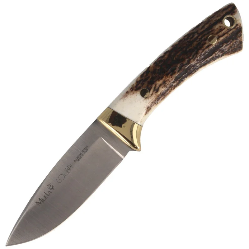 Ostatnia szansa Nóż Muela Colibri COL-7A Deer Stag, Satin X50CrMoV15