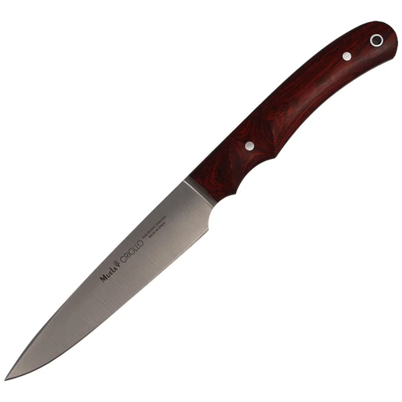 Nóż Muela Criollo-14 Coral Pakka Wood, Satin 1.4116 Nie przegap