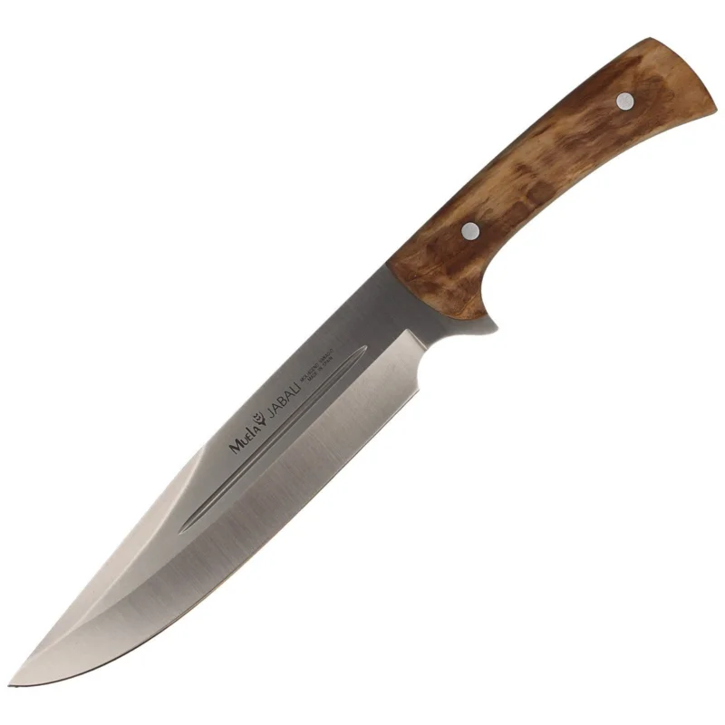 Muela Full Tang Olive Wood, Satin X50CrMoV15 (JABALI-21OL) Rabat