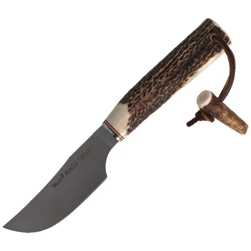 Ekspresowa dostawa Muela Deer Stag, Satin X50CrMoV15 Knife (BEAGLE-11A)