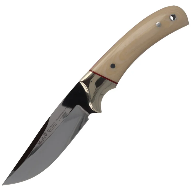 Zniżka Nóż Muela Setter-11B Ivory Micarta, Mirror X50CrMoV15