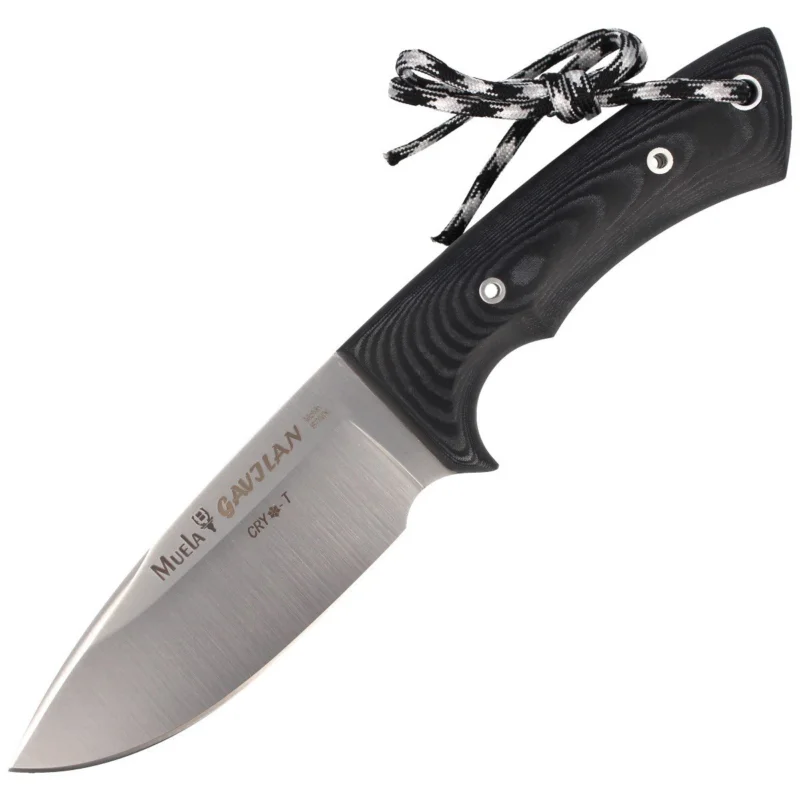 Tylko dziś Muela Full Tang Knife Black Micarta, Satin Finish (GAVILAN M)