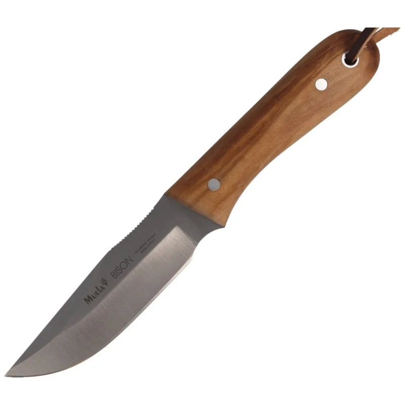 Muela Bison-9.OL Olive Wood Knife, Satin X50CrMoV15 Sprawdź teraz