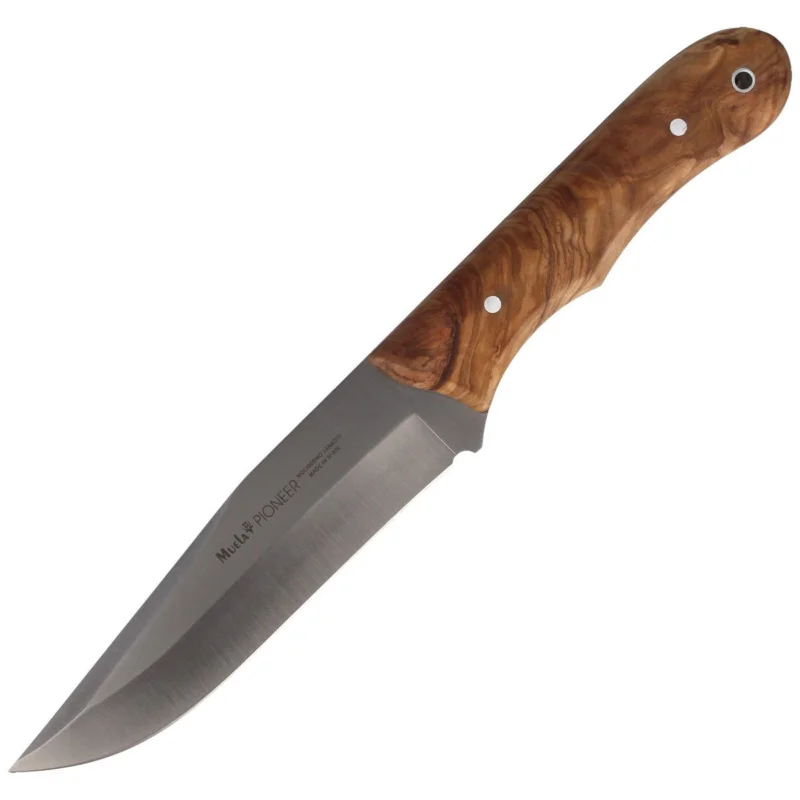Nóż Muela Full Tang Olive Wood, Satin X50CrMoV15 (PIONEER-14.OL) Darmowa dostawa