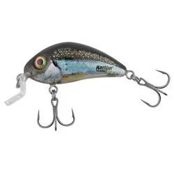 Wobler Salmo Rattlin Hornet Shallow, Clear Holo Smelt Kup online