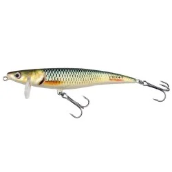 Wobler Hunter Eter Plus, OLIV Tani