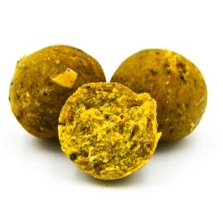 Kulki Massive Baits Eco Boilies 18mm - Scopex Bezpieczna płatność